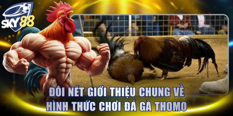 Đôi nét giới thiệu chung về hình thức chơi đá gà Thomo