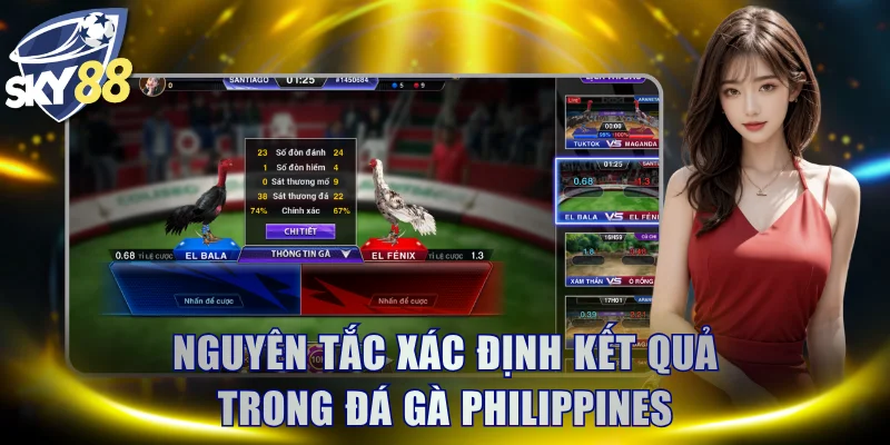 Nguyên tắc xác định kết quả màn tranh tài đá gà Philippines