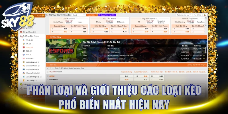 Phân loại và giới thiệu các loại kèo phổ biến nhất hiện nay